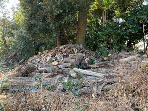 割れ木　木材　暖炉