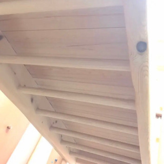 ドーマン メソード 家庭保育園 ブレキエーション と平均台