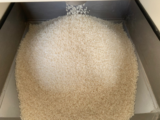 兵庫県産コシヒカリ玄米30㎏