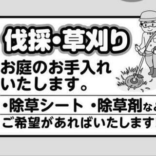 草刈、伐採