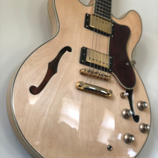 Epiphone by Gibson Sheraton-II P...