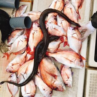 　一緒に釣りバカしましょう - 友達