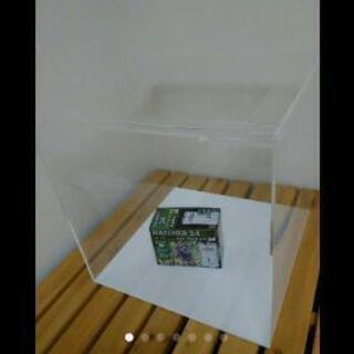 関節アングル整体DVD