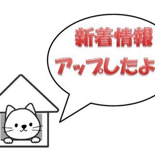 ✴速報✴3月決算大セール実施中！大幅値下げ通します！！沖縄市古謝...