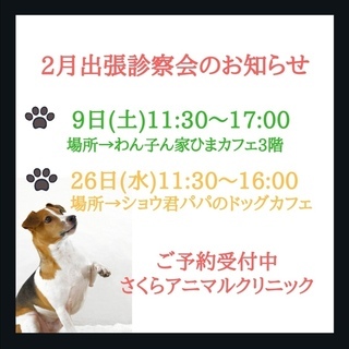 2／26（水）東大阪市ショウ君パパのドッグカフェさんにて出張診察会