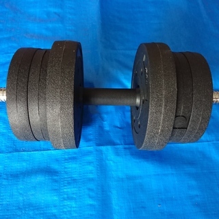 中古品　ダンベル10キロ　1個　になります。
