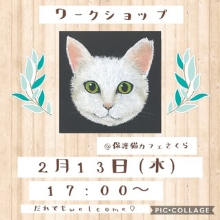 保護猫カフェで♪チョークアート体験(=^x^=)【残り一枠】