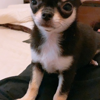 男の子