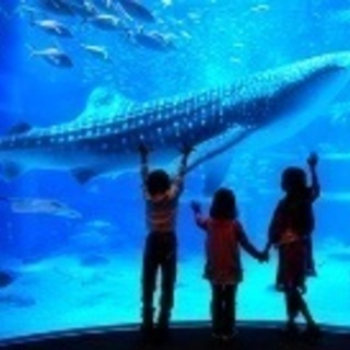 ✨🐬みんなで水族館に行こう🐬✨