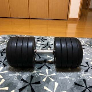 BODY MAKER 50キロダンベル　値下げ中