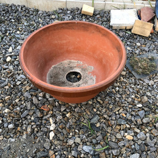 植木鉢　６０センチ　メダカ鉢にもの画像