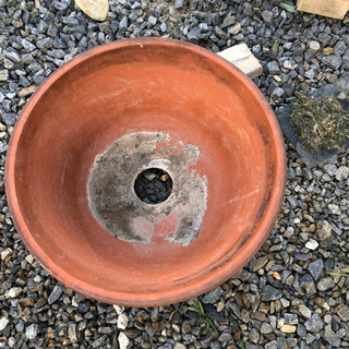 植木鉢　６０センチ　メダカ鉢にも
