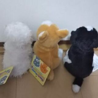 とっても可愛い 子犬のぬいぐるみ 3匹セットの画像