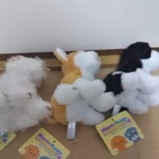 とっても可愛い 子犬のぬいぐるみ 3匹セットの画像