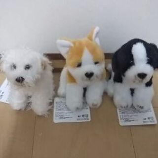 とっても可愛い 子犬のぬいぐるみ 3匹セット