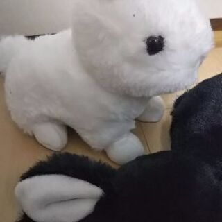 白うさぎ 黒うさぎ ぬいぐるみ2羽セットの画像