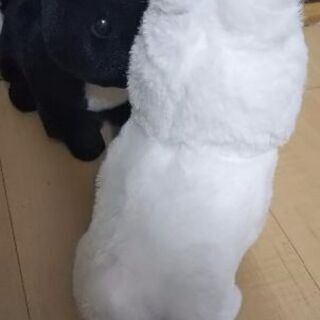 白うさぎ 黒うさぎ ぬいぐるみ2羽セットの画像