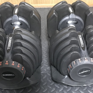 ワイルドフィット】アジャスタブルダンベル40kg 2ヶセット
