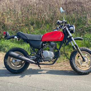 ホンダ　エイプ50  実動　即持ち帰り可能　キック1発始動　キャ...