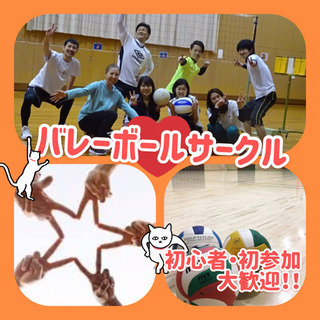 🌻🌈🌻初心者も経験者もみんなで楽しめるバレー🌻🌈🌻あなたも参加し...