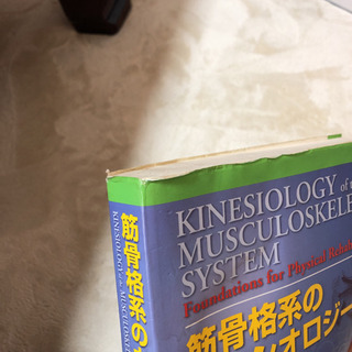 筋骨格系のキネシオロジーの画像