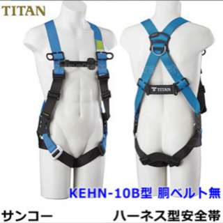 24K♤ PURE GOLDエッジ加工／デンドロビウム 蘭 プリザーブドフラワー