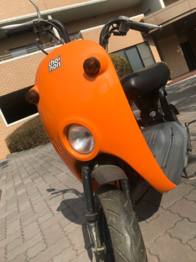 スズキ　チョイノリ