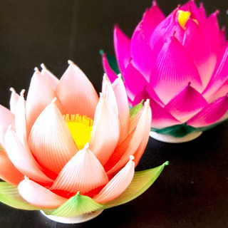 蓮花-hasuhana-クラフト