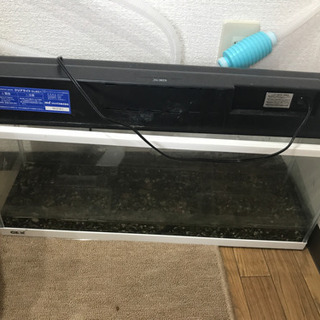 gex 薄型60センチ水槽　