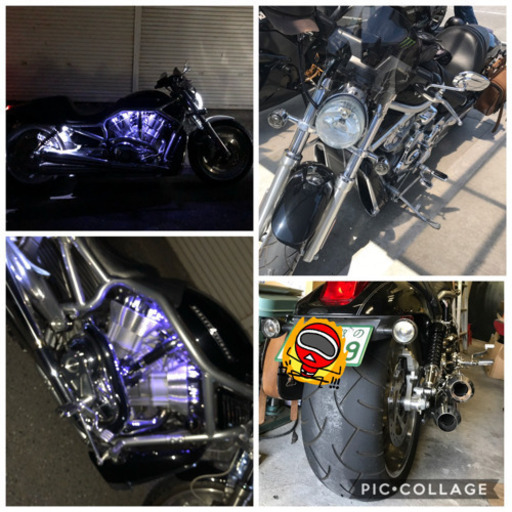 ハーレーダビッドソン VROD カスタム