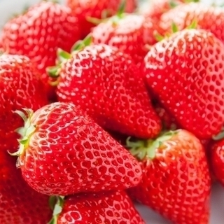 🍓いちご狩り　婚活バスツアー💛　3月14日（土）横浜発　