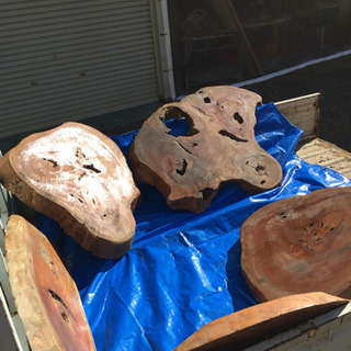 ケヤキの輪切り、置き物台、花台などにいかがでしょう。の画像