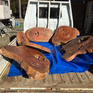 ケヤキの輪切り、置き物台、花台などにいかがでしょう。の画像