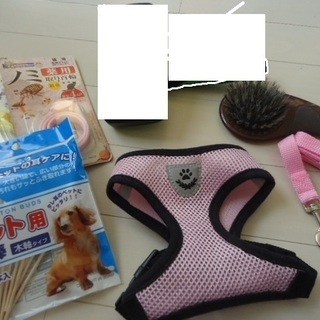 ペットブラシ　ハーネス　リード付　犬　猫　セット　まとめて