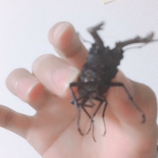 友達募集中です(о´∀`о)