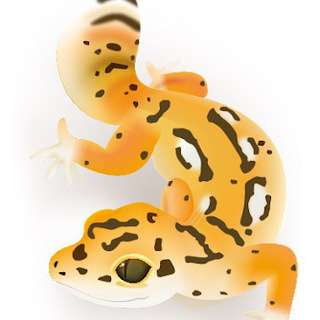 爬虫類好き