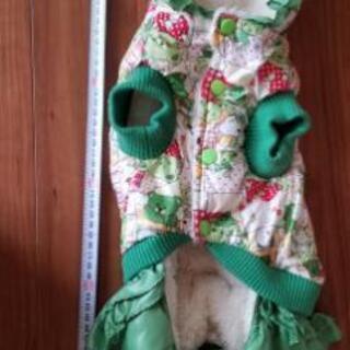 犬の服 サイズDM ほぼ新品の画像