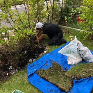 植木の剪定•草刈り•植栽管理サービスの画像