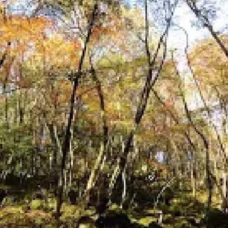 ⭐徳島県の山行こうよ