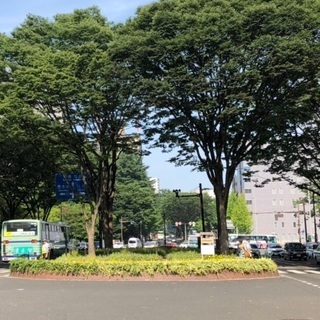 ⭐仙台が好き