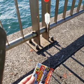 全国釣り仲間募集中✨ − 東京都