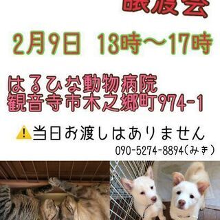 セカンドライフ香川犬猫譲渡会 - イベント