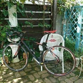 FOUCUS izalco ER1.0 国内30台限定車！