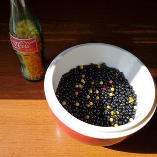 サバゲー　弾大量