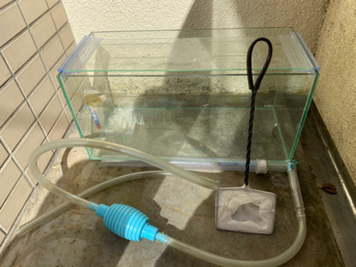 tetra 水槽　12L