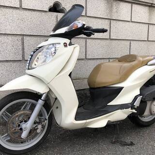 マラグーティ パスワード２５０の画像