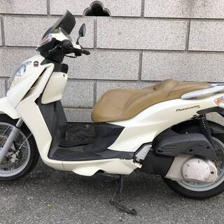 マラグーティ パスワード２５０の画像