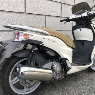マラグーティ パスワード２５０の画像