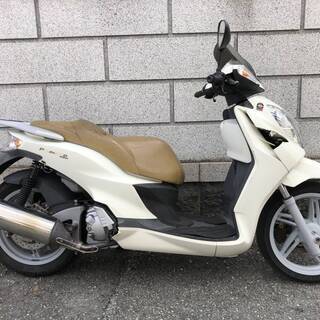 マラグーティ パスワード２５０の画像