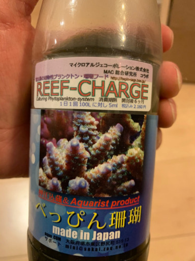 べっぴんサンゴ　リーフチャージ　その他もろもろ